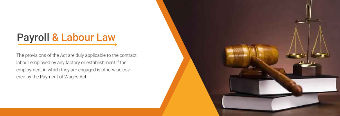 Payroll & Labour Law Payroll & Labour Law