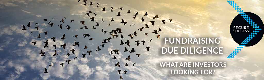 Fundraise & Due Diligence Fundraise & Due Diligence